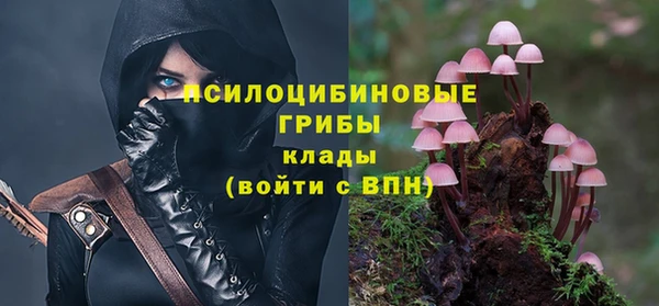ешки Абаза